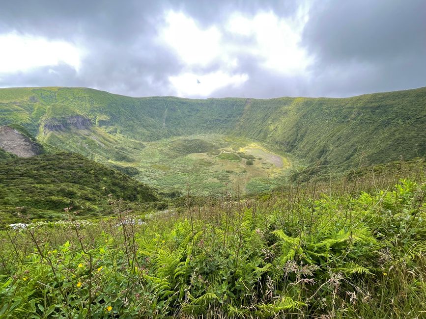 Faial el número 4