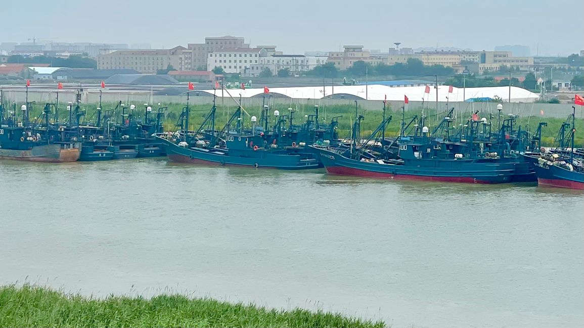 Dicht gedrängte Fischerboote bei Yangkou am Xiaoqing River
