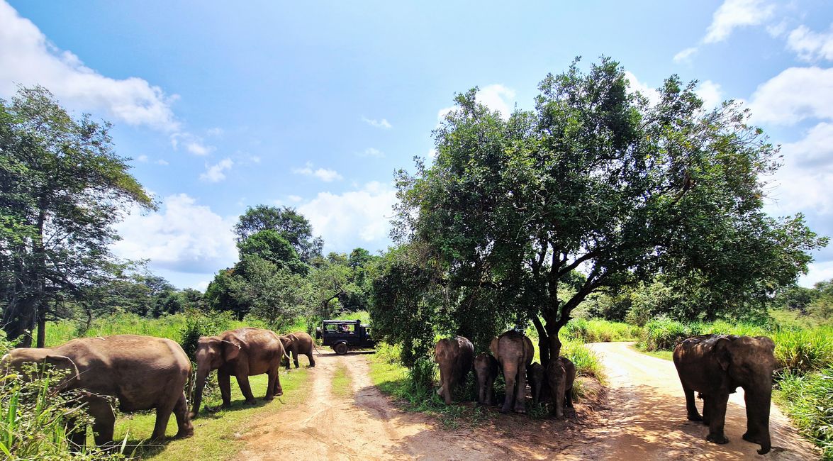 Hurulu Eco Park