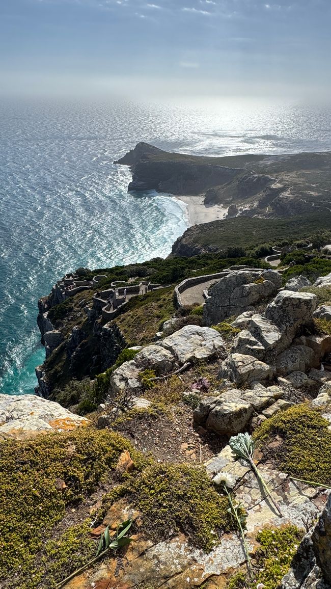 Tour del porto a Città del Capo, Spiaggia di Muizenberg, Spiaggia di Boulders, Capo di Buona Speranza