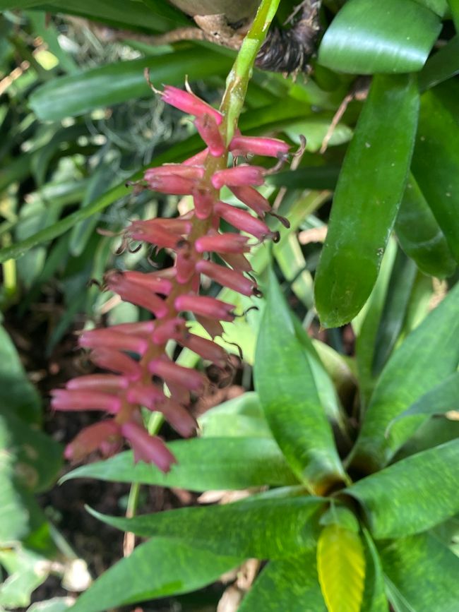 - und Überraschendes!