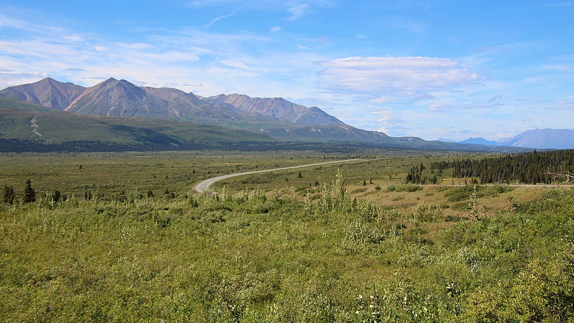 Tag 27: Bärenshow & fantastische Bergwelten - zurück nach Yukon/Kanada