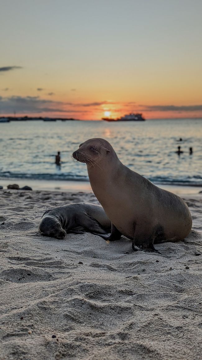 Galapagos Islands