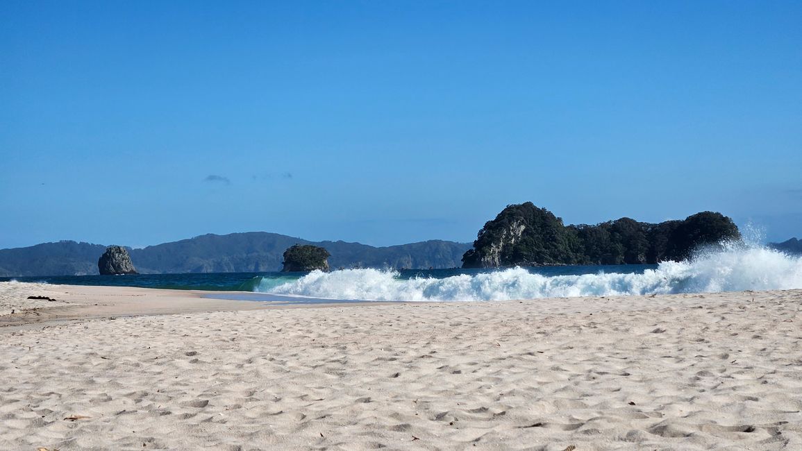 Hahei - The 309 Road - Coromandel