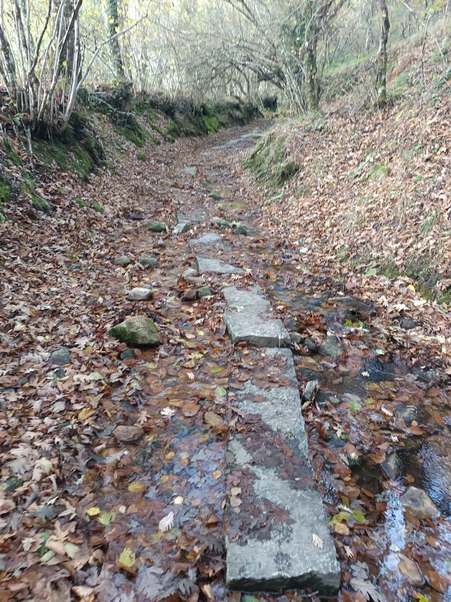 Nasse Wege. Zum Glück sind die Steine in der Mitte da.