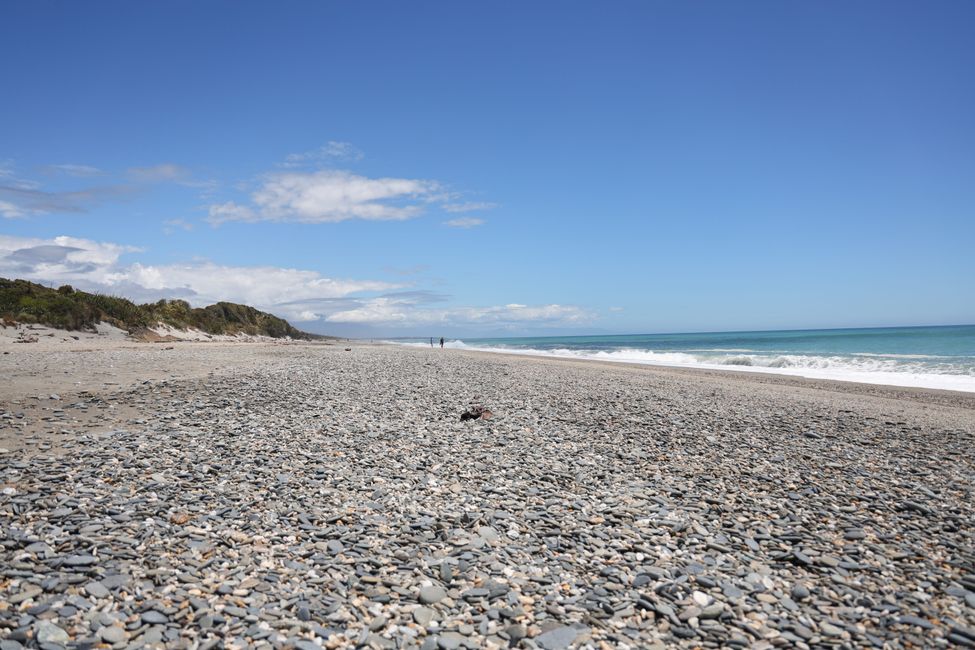 West Coast bis Jackson Bay