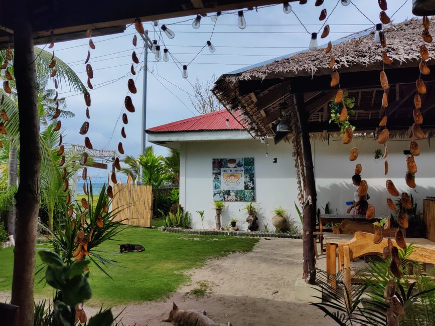 Von Malapascua nach Palau