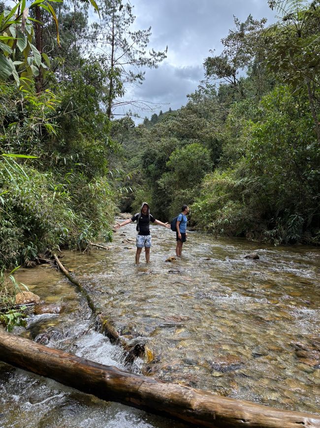 Semaine 26-28 : Au revoir, Colombie