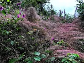 Schöne Natur