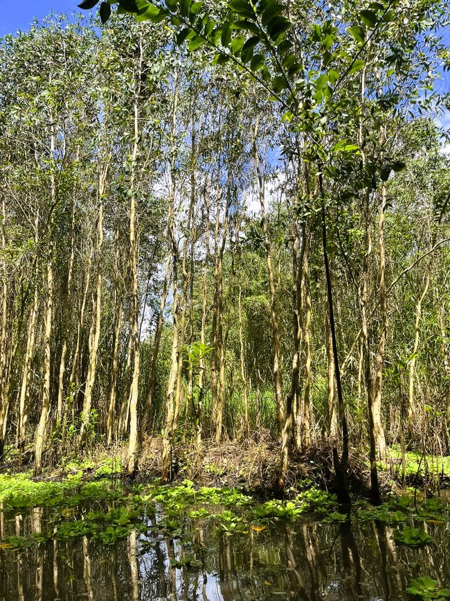 Naturschutzgebiet Lung Ngoc Hoang 1