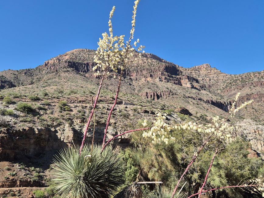 Salt River Canyon Scenic Drive