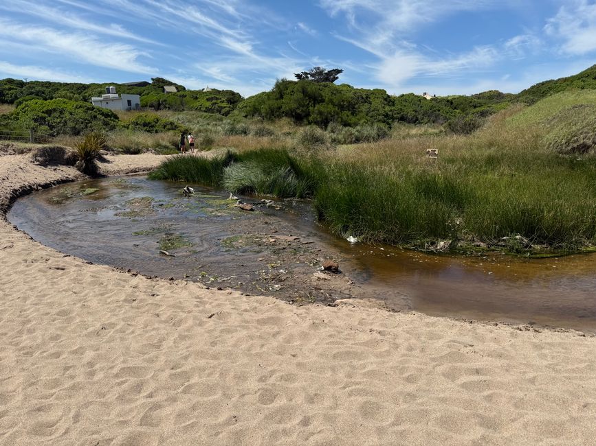 Tag 4 : Ma nouvelle ville : Chapadmalal
