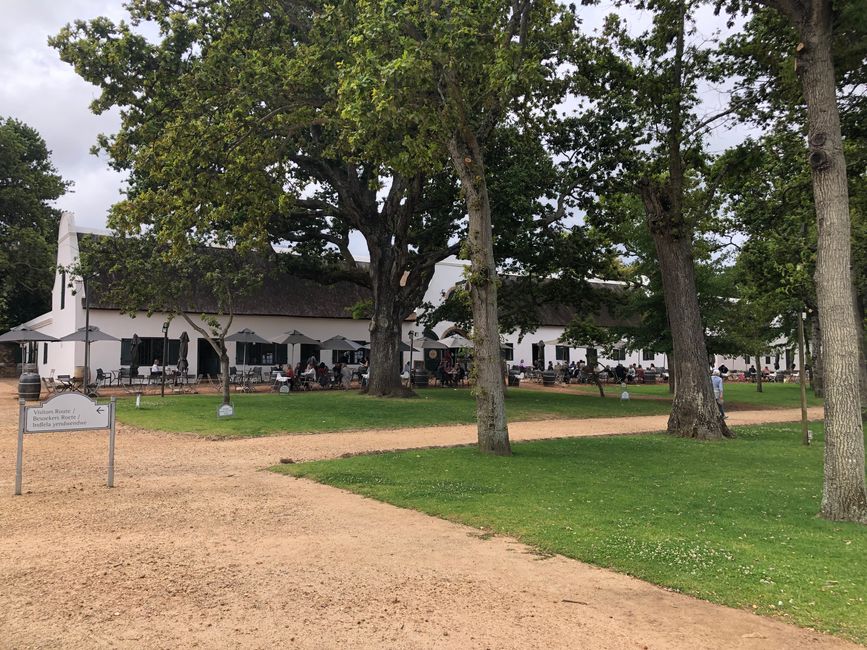 Groot Constantia