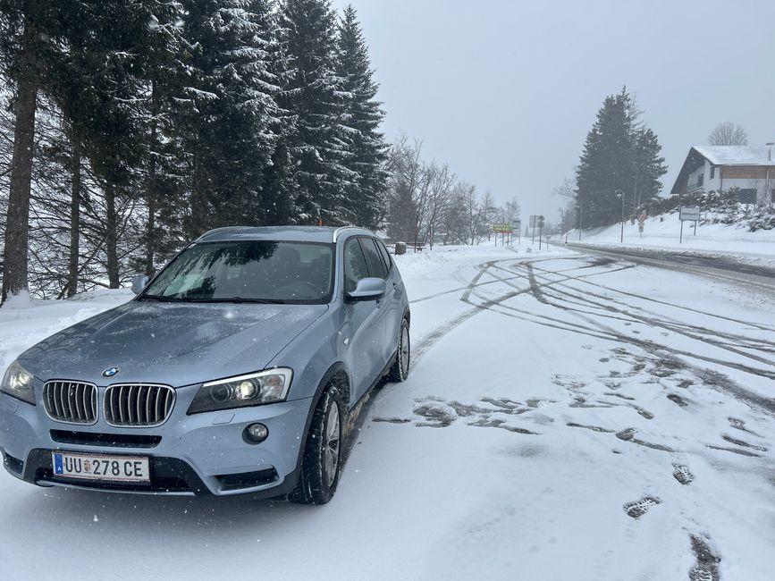 Schnee am Trieben