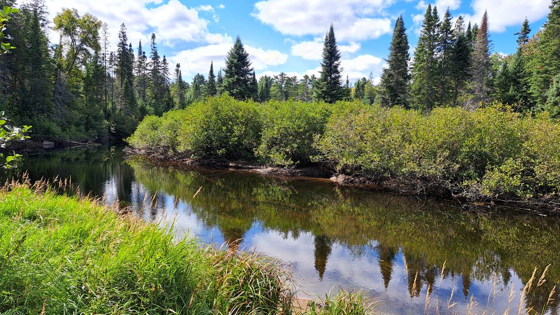 Algonquin Park - Tag 2