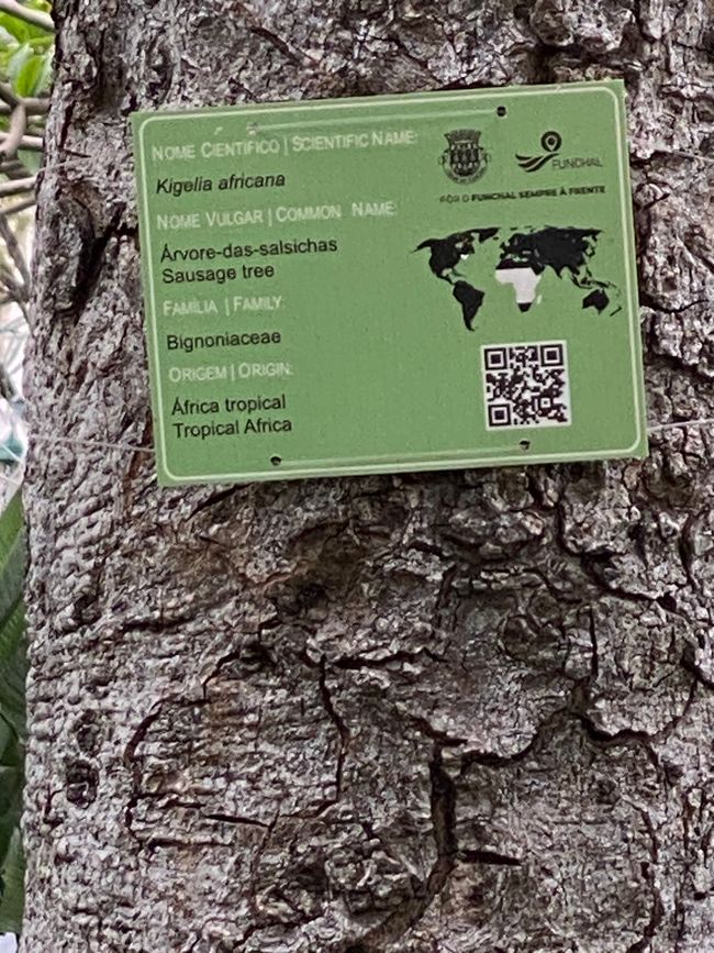 Kommt aus der Mitte Afrikas