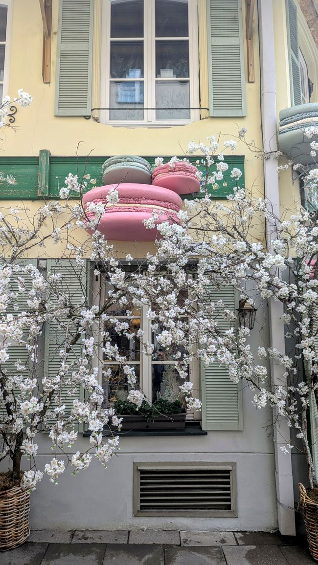 Vilnius Calling 