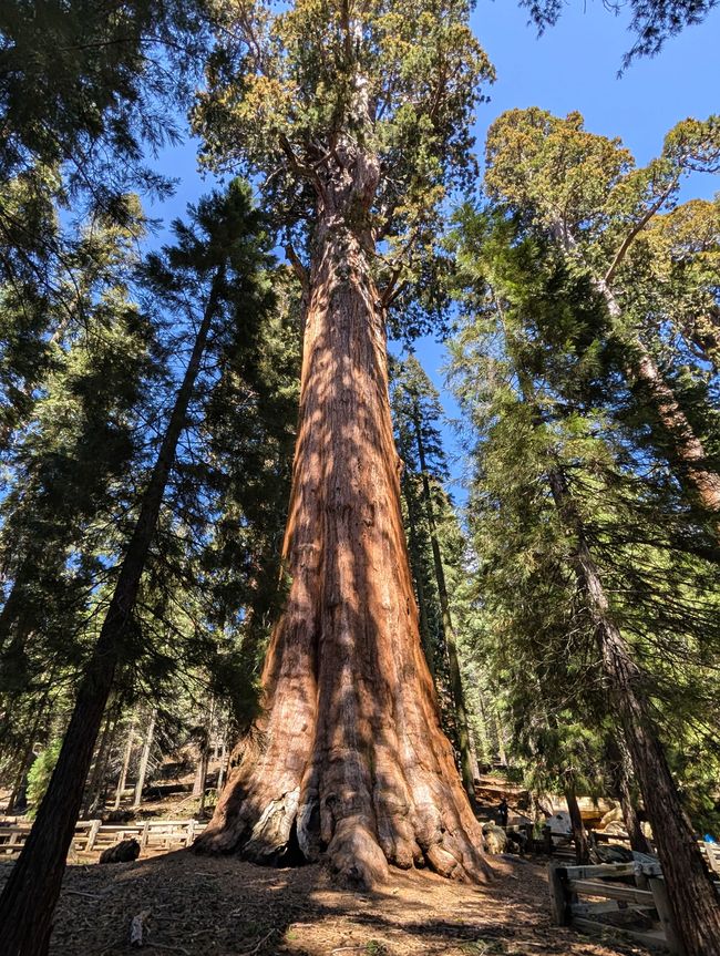 Parque Nacional Kings Canyon