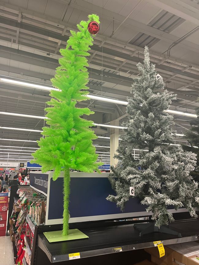 Können uns kaum entscheiden, welchem Baum wir nehmen