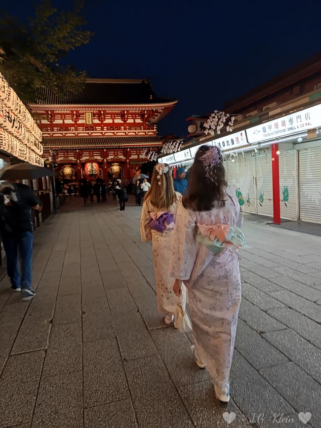 Tokyo
Asakusa al chiaro di luna