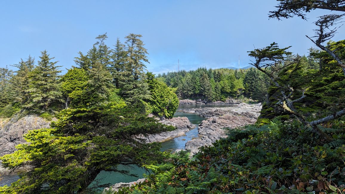 Etiqueta 7: Parque Nacional Pacific Rim - Ucluelet - Tofino