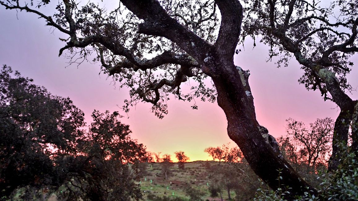 Ein toller Sonnenaufgang zum Start in den ALENTEJO