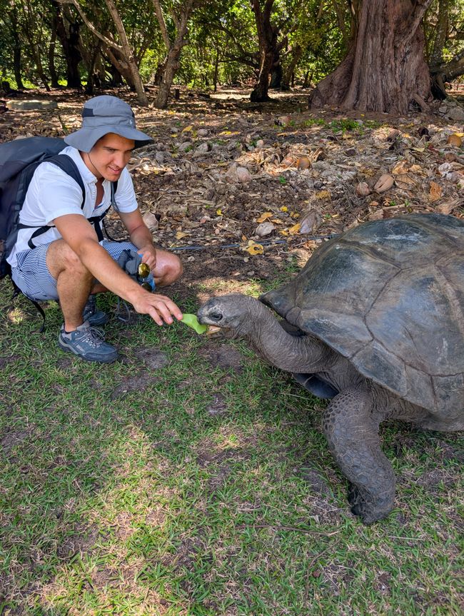 Ausflug auf die Schildkröten-Insel🐢