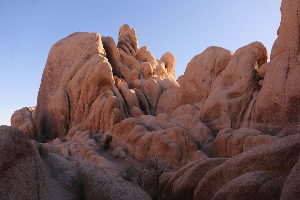 USA - Las Vegas and more ...   road trip 2025