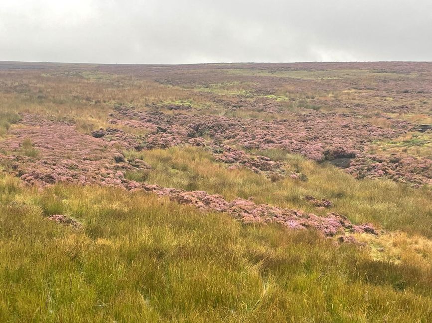 07.09.2024 Clay Bank Top nach Blakey Ridge