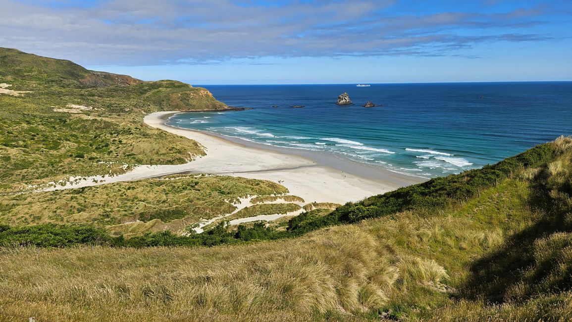 Timaru - Oamaru - Moeraki - Dunedin - Otago Peninsula - Oamaru