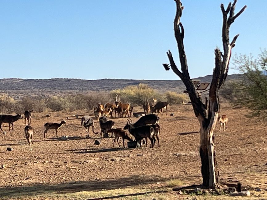 Dirección a Windhoek