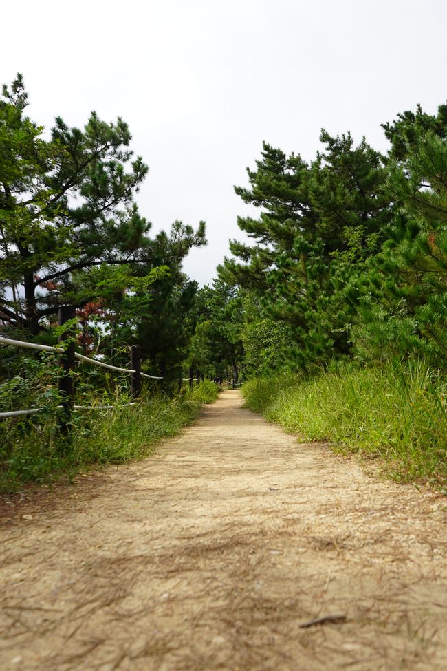 Paseo sobre el cielo de Pohang