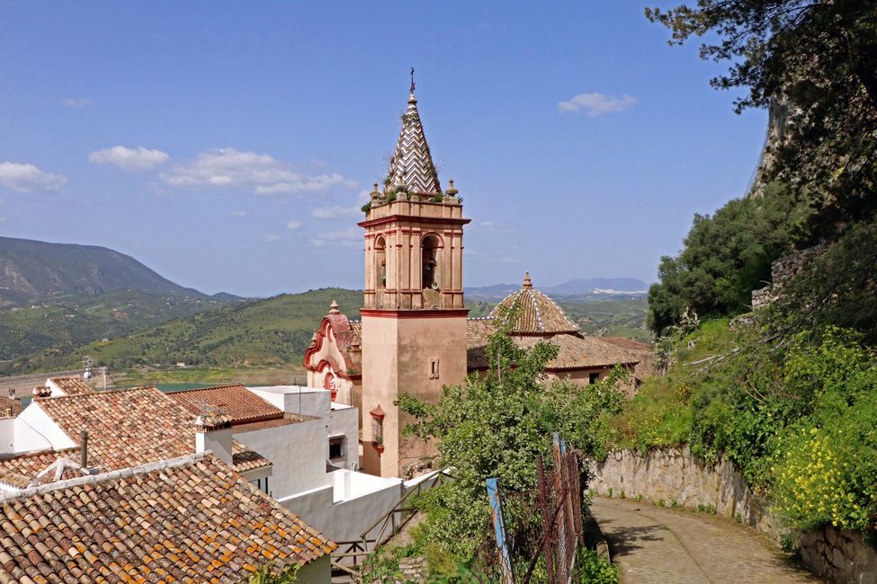 Zahara