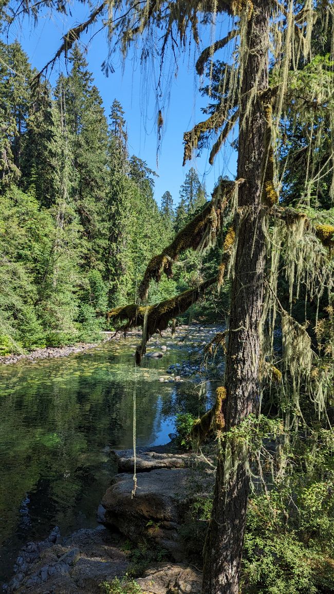 Englishman River Falls Provincial Park