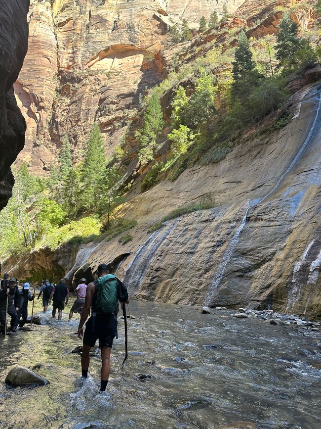 Tierra de Cañones: Zion y el Cañón de Bryce❤️