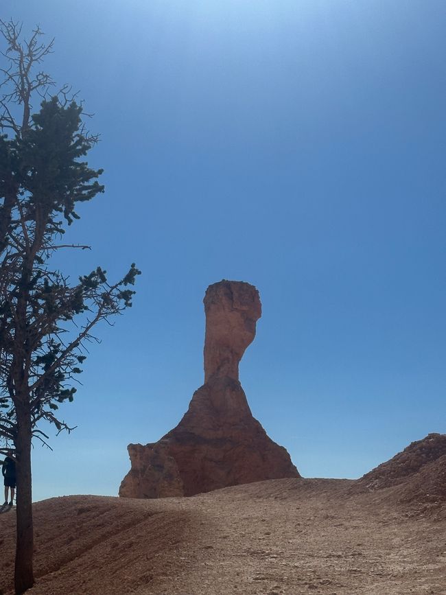 Canyon Land: Zion and Bryce Canyon❤️