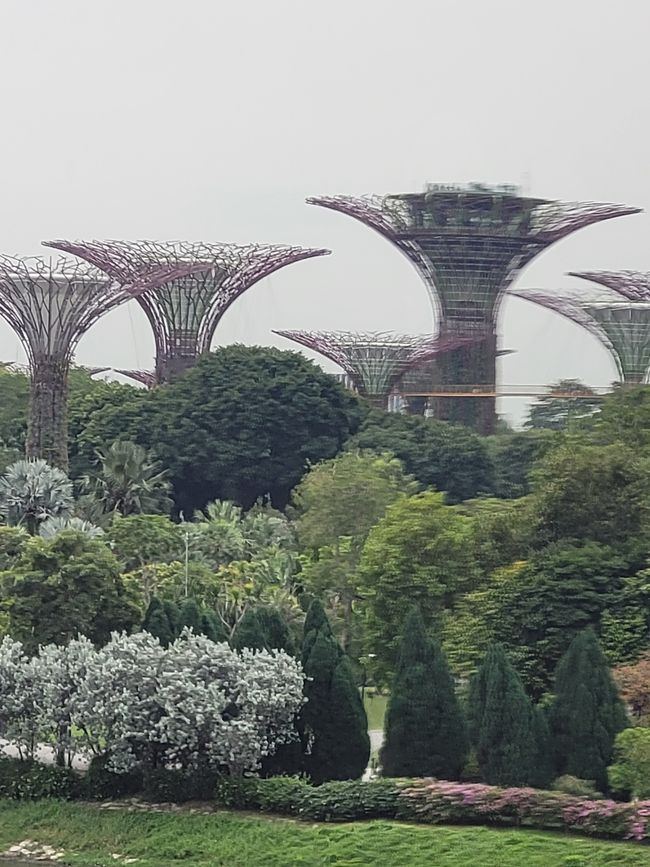 Tag 116 und 117: Kreuzfahrt rund um die Welt  - Singapur