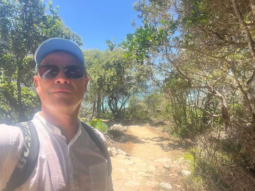 Noosa Nationlparl: Tangelwood Walk  