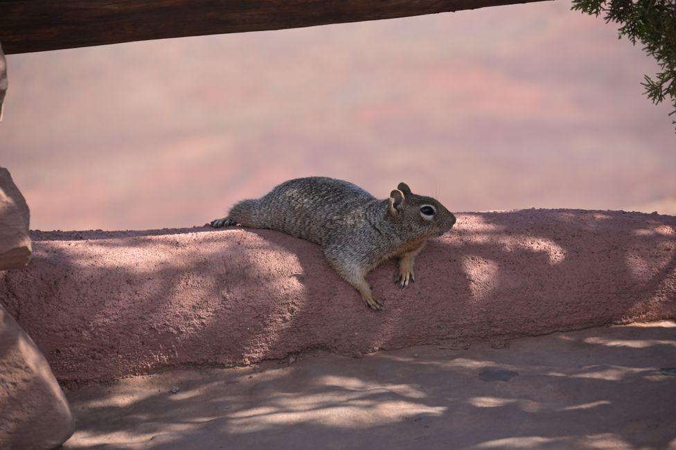 The heat takes a toll on everyone