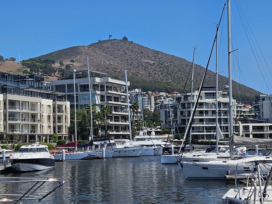 114. Tag Cape Town, South Africa 18.03.2026