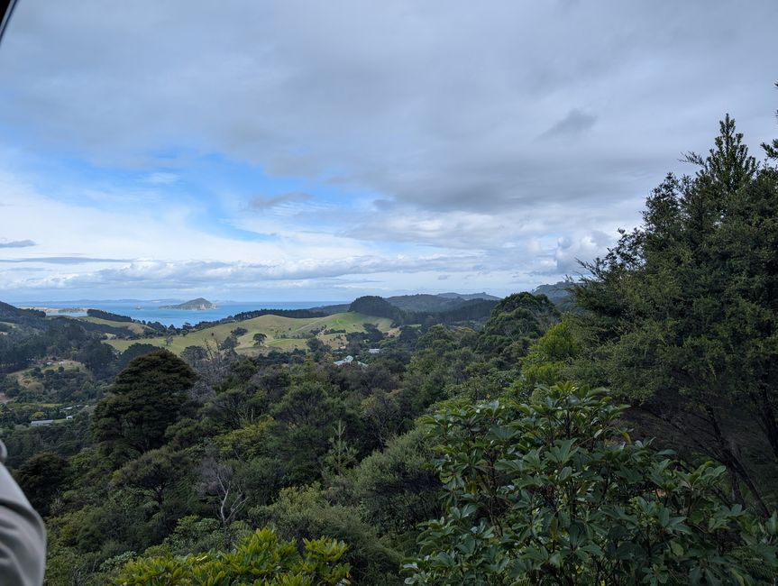 Coromandel und Abreise