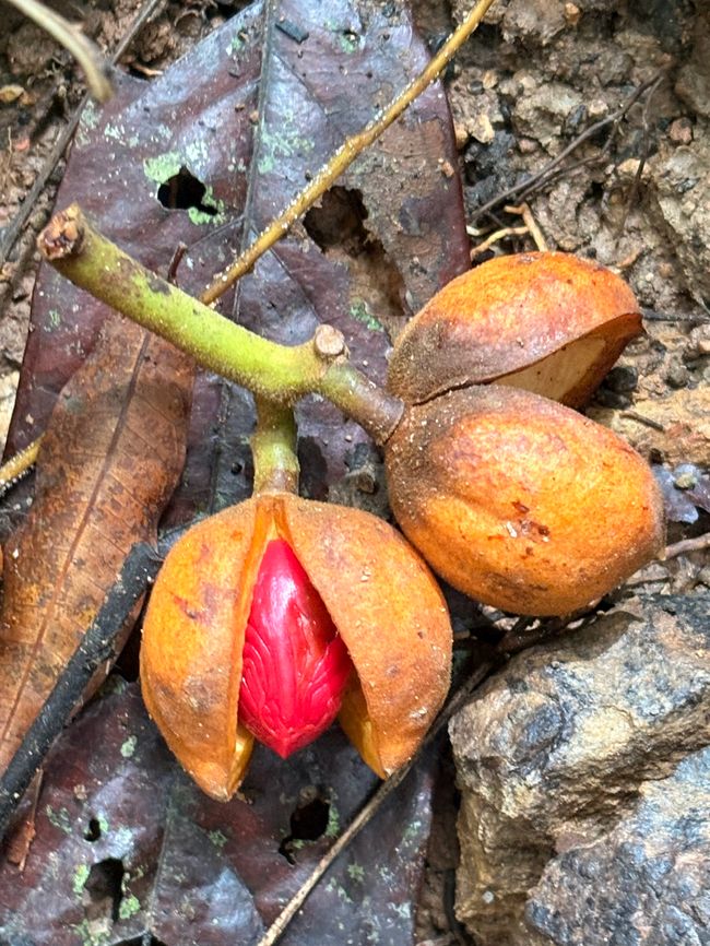 Unterwegs in Costa Rica
