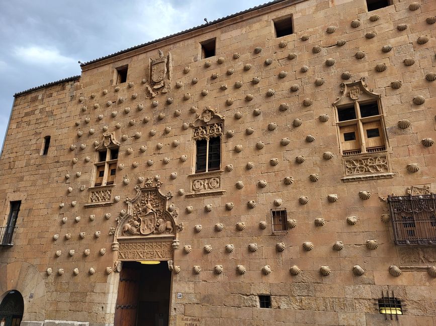 Muschelhaus