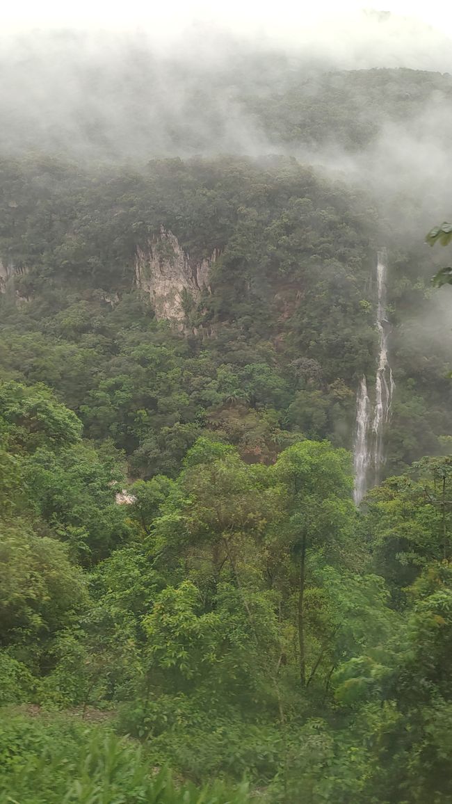 Brasil, Curitiba y viaje en tren por la selva tropical