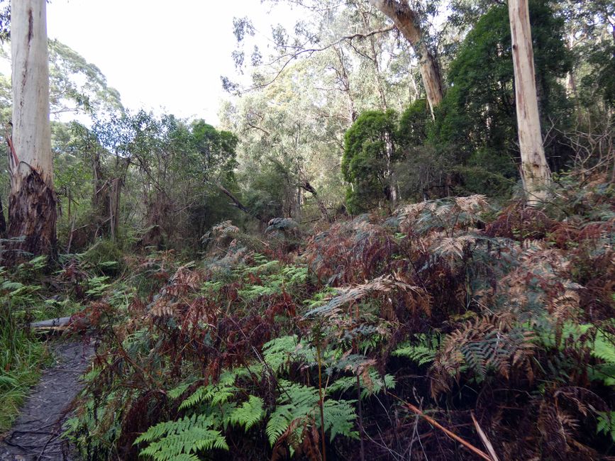 Sentiero Naturalistico del Fiume Kennet