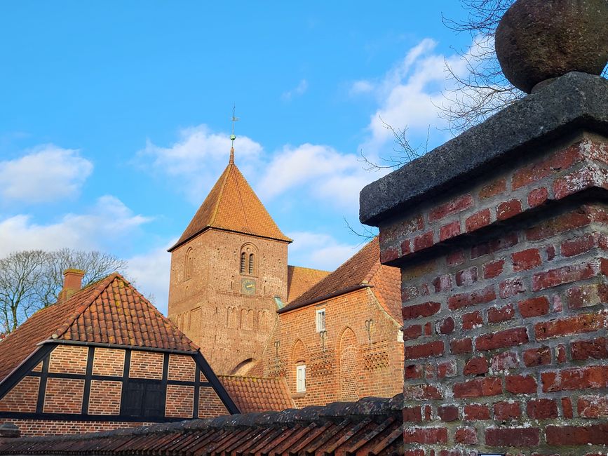 Ribe
