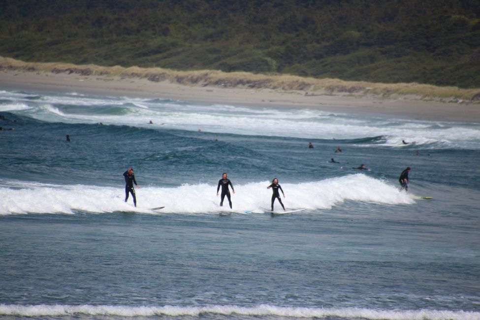 Etiqueta 7: Parque Nacional Pacific Rim - Ucluelet - Tofino