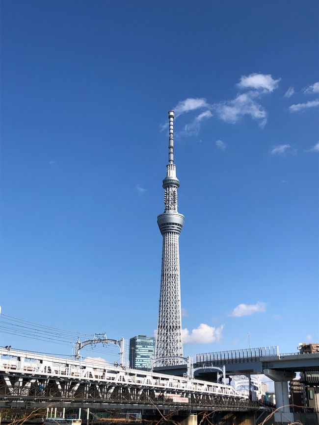 Der Tokyo Skytree im blauen Himmel ...