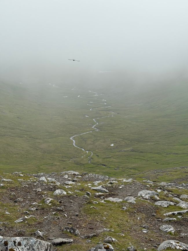 Noch eine Wanderung
