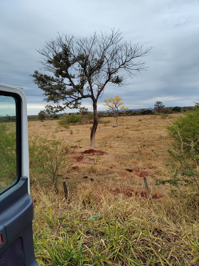 Refugio Canaa Brasil